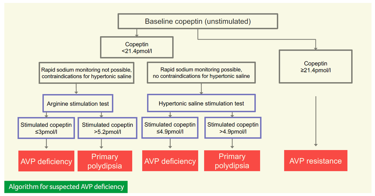 Distinguishing between AVP deficiency, AVP resistance and primary polydipsia is crucial  according to research by Svenja Leibnitz and <a href="/Julia1Beck/">Julia Beck</a> of <a href="/ClinNeuroEndo/">Clinical Neuroendocrinology Basel</a> in the latest <a href="/EYEScientists/">EYES</a> News.

Read now!
👉 issuu.com/victoria.withy…