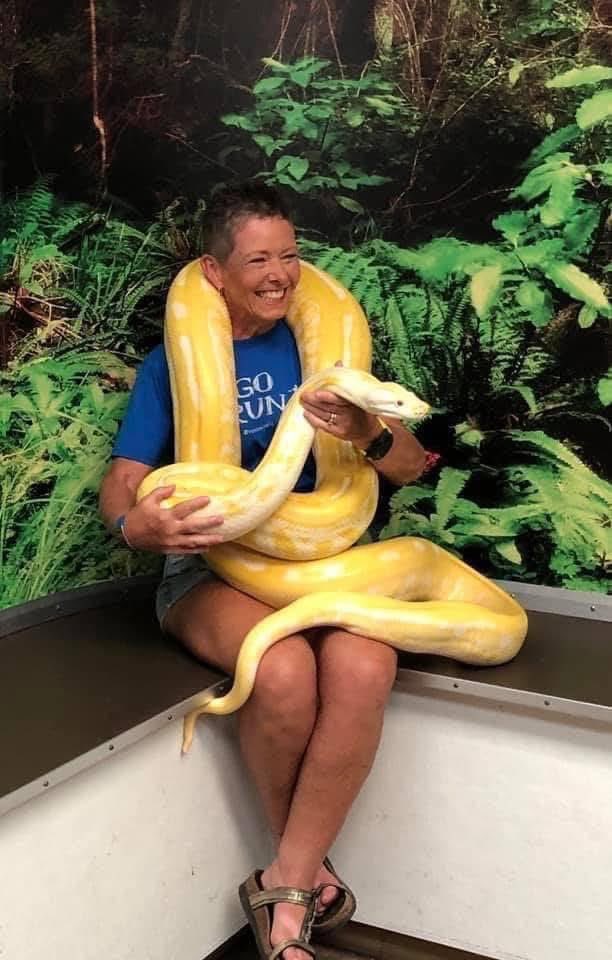 MelindaHoward4's tweet image. Happy #NationalPiDay 😊

What do you call a snake that is 3.14 meters long?

A PiThon