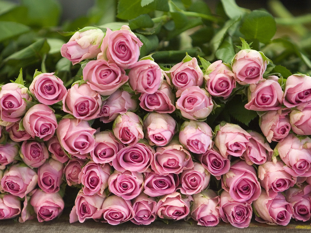 <a href="/Evelina__Lapina/">Эвелина Лапина</a> <a href="/Mishel_Lebedeva/">Мишель Лебедева</a> <a href="/BogSuvorova/">Богдана Суворова</a> <a href="/Karina__Zimina/">Карина Зимина 🦋</a> <a href="/Mari__Samsonova/">Мария Самсонова 💕</a> <a href="/Dominik_Svetova/">Доминика Светова</a> <a href="/Yuliya_Verina/">Юлия Верина 🍁</a> <a href="/_Anna_Gordeeva/">Анна Гордеева</a> <a href="/Frolova__Nastya/">Анастасия Фролова ✨</a> <a href="/Val_Valereva/">Валентина Валерьева</a> <a href="/Evgen_Safina/">Евгения Сафина</a> <a href="/Alina__Azarova/">Алина Азарова 🔥</a> <a href="/Liza_Vesnina/">Лизавета Веснина</a> <a href="/Sveta_Makeina/">Светлана Макеина</a> <a href="/Kseniya_Aksen/">Ксения Аксенова</a> <a href="/_OksanaFirsova/">Оксана Фирсова</a> <a href="/Roza_Rakitina/">Роза Ракитина</a> <a href="/IrishaKoroleva/">Ирина Королева</a> <a href="/_VladaBelova/">Влада Белова</a> <a href="/ya__chara/">Яна</a> <a href="/alberiniks/">Нина Альбертова</a> <a href="/lady__travel/">Нинэлька</a> <a href="/Ansupers/">Анастасия</a> <a href="/Alisa550055/">Алиса</a> <a href="/glamour__fifa/">Нэнси</a> <a href="/santairis_/">Ириска</a> <a href="/polovinkamoya/">Валентина</a> <a href="/niguzan/">Нина</a> <a href="/moyi_angel/">Ангелина</a> <a href="/ledi__briz/">Алина Голубкова</a> <a href="/Irina__Grad/">Ирина Градова</a> <a href="/shelkalina/">Galina Shelest</a> <a href="/leopoldolarag/">Leopoldo Lara</a> <a href="/P_barbaricina/">Patricia ♦️®🇮🇹</a> <a href="/VictoriAGVelan1/">Victoria Guerrero Velandia</a> <a href="/alpost19718/">Istina</a> <a href="/Anatolii70/">.Анатолий70</a> <a href="/Igor55549244/">Igor</a> <a href="/Vladimi94915948/">Vladimir</a> <a href="/math_007tutor/">Цифровой репетитор по математике физике английский</a> <a href="/olv42/">Анна Ильиных</a> <a href="/iO0WDvcSpnyOba5/">Люба</a> <a href="/kathyan72/">Hannah</a> <a href="/saulastam/">Sastam_25</a> <a href="/komaritski/">Slinkin SV</a> <a href="/ViktorMochalin/">mochalin viktor</a> <a href="/MalikaAkram14/">Malika Akram</a> <a href="/grafinhikya/">Графиня</a> <a href="/ya_supers/">Анастасия</a> <a href="/CGFmqbLiNRxP2oC/">alarby62</a>