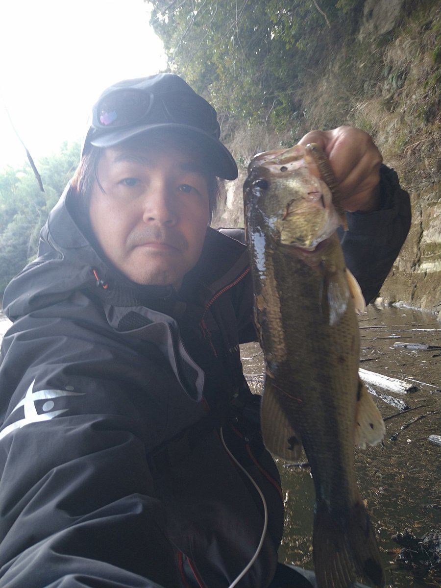 GOGOFiSHINGch tweet picture
