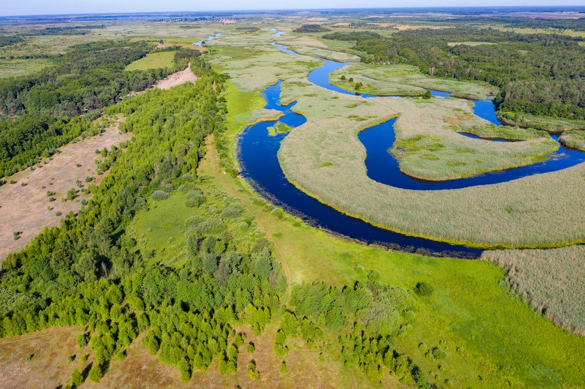 savePolesia's tweet photo. Dams fragment rivers, blocking migratory routes for 🐟like salmon and sturgeon. This disrupts ecosystems & reduces biodiversity. Free-flowing rivers are essential for wildlife survival—let's protect them! #Stop_E40 #RiversActionDay
📷D.Rosengren/FZS
Pripyat, Polesia's wild river https://t.co/DBC29lorCy