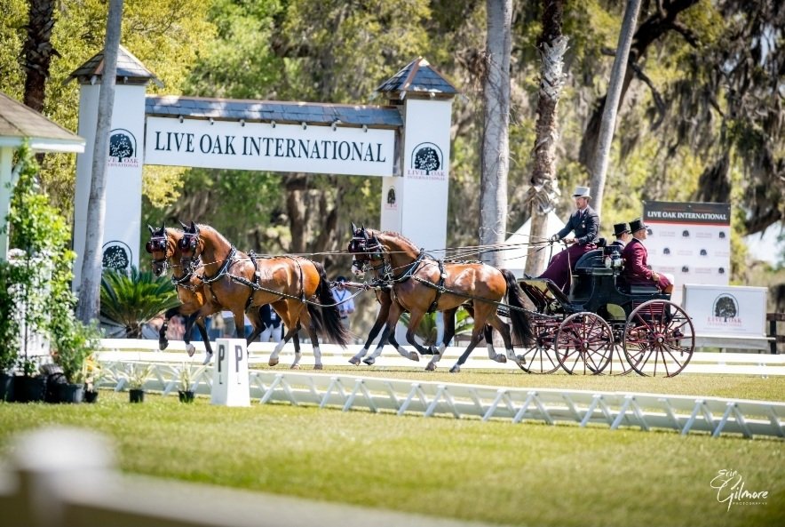 Horcery (@horcery_) on Twitter photo ⭐ <a href="/LiveOakInt/">Live Oak Int</a>: Day 1️⃣, Dressage Driving
Horcery is proud to be an Official Supporting Sponsor at #LOI25!
We’re here all weekend—stop by the VIP tent, meet Greer Fogle, and see Horcery’s real-time monitoring tech in action!
#WeMonitorThat #HorseTech #LiveOakInternational ⭐ <a href="/LiveOakInt/">Live Oak Int</a>: Day 1️⃣, Dressage Driving
Horcery is proud to be an Official Supporting Sponsor at #LOI25!
We’re here all weekend—stop by the VIP tent, meet Greer Fogle, and see Horcery’s real-time monitoring tech in action!
#WeMonitorThat #HorseTech #LiveOakInternational