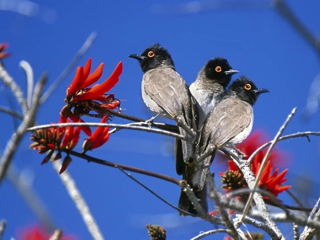 <a href="/Frolova__Nastya/">Анастасия Фролова ✨</a> <a href="/Val_Valereva/">Валентина Валерьева</a> <a href="/Evgen_Safina/">Евгения Сафина</a> <a href="/Alina__Azarova/">Алина Азарова 🔥</a> <a href="/Liza_Vesnina/">Лизавета Веснина</a> <a href="/Sveta_Makeina/">Светлана Макеина</a> <a href="/Kseniya_Aksen/">Ксения Аксенова</a> <a href="/_OksanaFirsova/">Оксана Фирсова</a> <a href="/Roza_Rakitina/">Роза Ракитина</a> <a href="/IrishaKoroleva/">Ирина Королева</a> <a href="/_VladaBelova/">Влада Белова</a> <a href="/ya__chara/">Яна</a> <a href="/alberiniks/">Нина Альбертова</a> <a href="/lady__travel/">Нинэлька</a> <a href="/Ansupers/">Анастасия</a> <a href="/Alisa550055/">Алиса</a> <a href="/glamour__fifa/">Нэнси</a> <a href="/santairis_/">Ириска</a> <a href="/polovinkamoya/">Валентина</a> <a href="/niguzan/">Нина</a> <a href="/moyi_angel/">Ангелина</a> <a href="/ledi__briz/">Алина Голубкова</a> <a href="/Irina__Grad/">Ирина Градова</a> <a href="/shelkalina/">Galina Shelest</a> <a href="/leopoldolarag/">Leopoldo Lara</a> <a href="/P_barbaricina/">Patricia ♦️®🇮🇹</a> <a href="/VictoriAGVelan1/">Victoria Guerrero Velandia</a> <a href="/alpost19718/">Istina</a> <a href="/Anatolii70/">.Анатолий70</a> <a href="/Igor55549244/">Igor</a> <a href="/Vladimi94915948/">Vladimir</a> <a href="/math_007tutor/">Цифровой репетитор по математике физике английский</a> <a href="/olv42/">Анна Ильиных</a> <a href="/iO0WDvcSpnyOba5/">Люба</a> <a href="/kathyan72/">Hannah</a> <a href="/saulastam/">Sastam_25</a> <a href="/komaritski/">Slinkin SV</a> <a href="/ViktorMochalin/">mochalin viktor</a> <a href="/MalikaAkram14/">Malika Akram</a> <a href="/grafinhikya/">Графиня</a> <a href="/ya_supers/">Анастасия</a> <a href="/CGFmqbLiNRxP2oC/">alarby62</a> <a href="/mO9V3dQcIi7jRpD/">شكرى الصاوى</a> <a href="/AracelisTorre19/">Aracelis Torres</a> <a href="/maype7/">✿⊱ Mayuli Peña R ✿⊱</a> <a href="/lana_liss/">Лана Лисс</a> <a href="/ViviHua71296541/">Vivi Huang</a> <a href="/MenAlyemen_ye/">Men Alyemen</a> <a href="/VValentina_S/">Valentina</a> <a href="/CiviRoj/">mam roj civi</a>