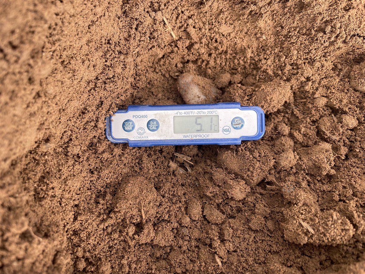 Produce Solutions tweet media