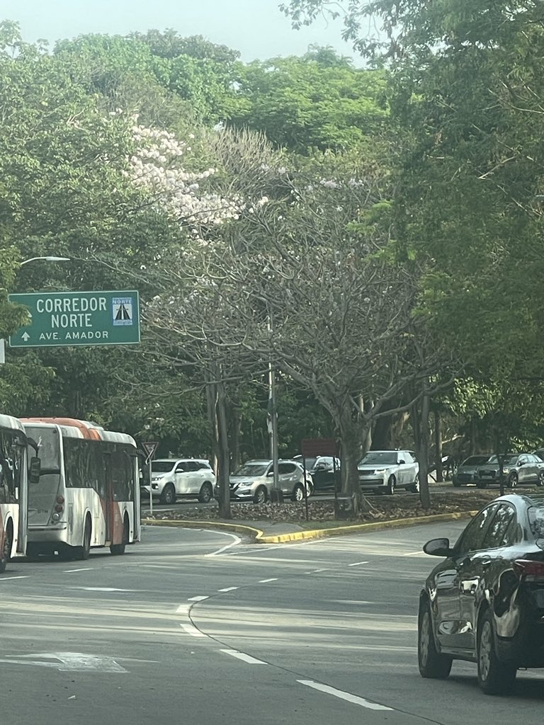 Rob_Rios77's tweet photo. @ATTTPanama  sigue el juega vivo en amador y salida cintancostera hacia el puente de las Américas en la mañana https://t.co/VANzNzzpX6