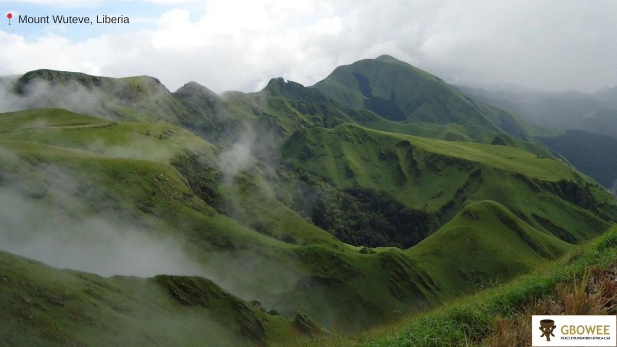 Gbowee Peace Foundation Africa-USA tweet media