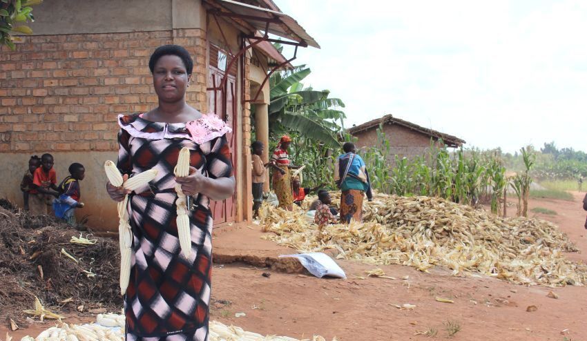IFDC East and Southern Africa (@ifdcesaf) on Twitter photo “I want to prove that with determination and know-how, a simple farmer can become a true entrepreneur and transform her community.” Joselyne, farmer 🌱 👩🌾.
Discover her inspiring story supported by the PSSD project in #Burundi: buff.ly/8UEKrk4
<a href="/NLinBurundi/">Ambassade du Royaume des Pays-Bas au Burundi</a> <a href="/IFDCGlobal/">IFDC</a> “I want to prove that with determination and know-how, a simple farmer can become a true entrepreneur and transform her community.” Joselyne, farmer 🌱 👩🌾.
Discover her inspiring story supported by the PSSD project in #Burundi: buff.ly/8UEKrk4
<a href="/NLinBurundi/">Ambassade du Royaume des Pays-Bas au Burundi</a> <a href="/IFDCGlobal/">IFDC</a>