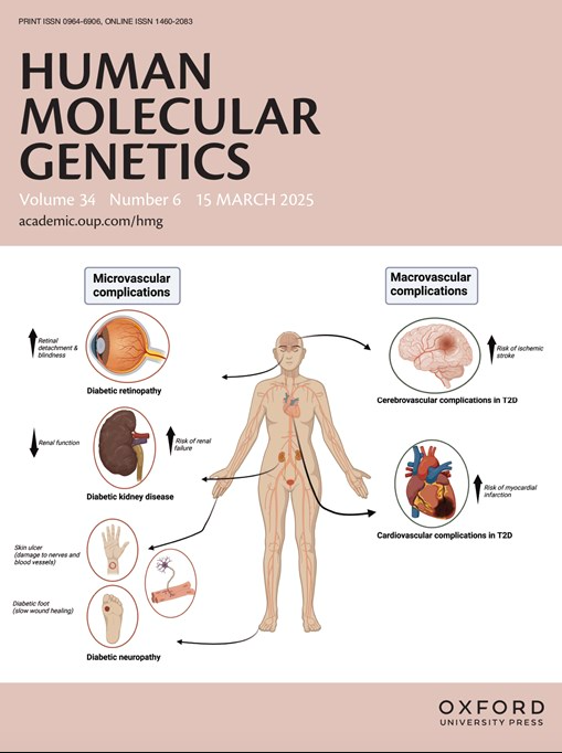 15 March 2025 Issue: academic.oup.com/hmg/issue/34/6

Cover: Type 2 diabetes complications impact various organs throughout the body. As shown in the figure, these complications are broadly classified into two major categories: microvascular and macrovascular. doi.org/10.1093/hmg/dd…