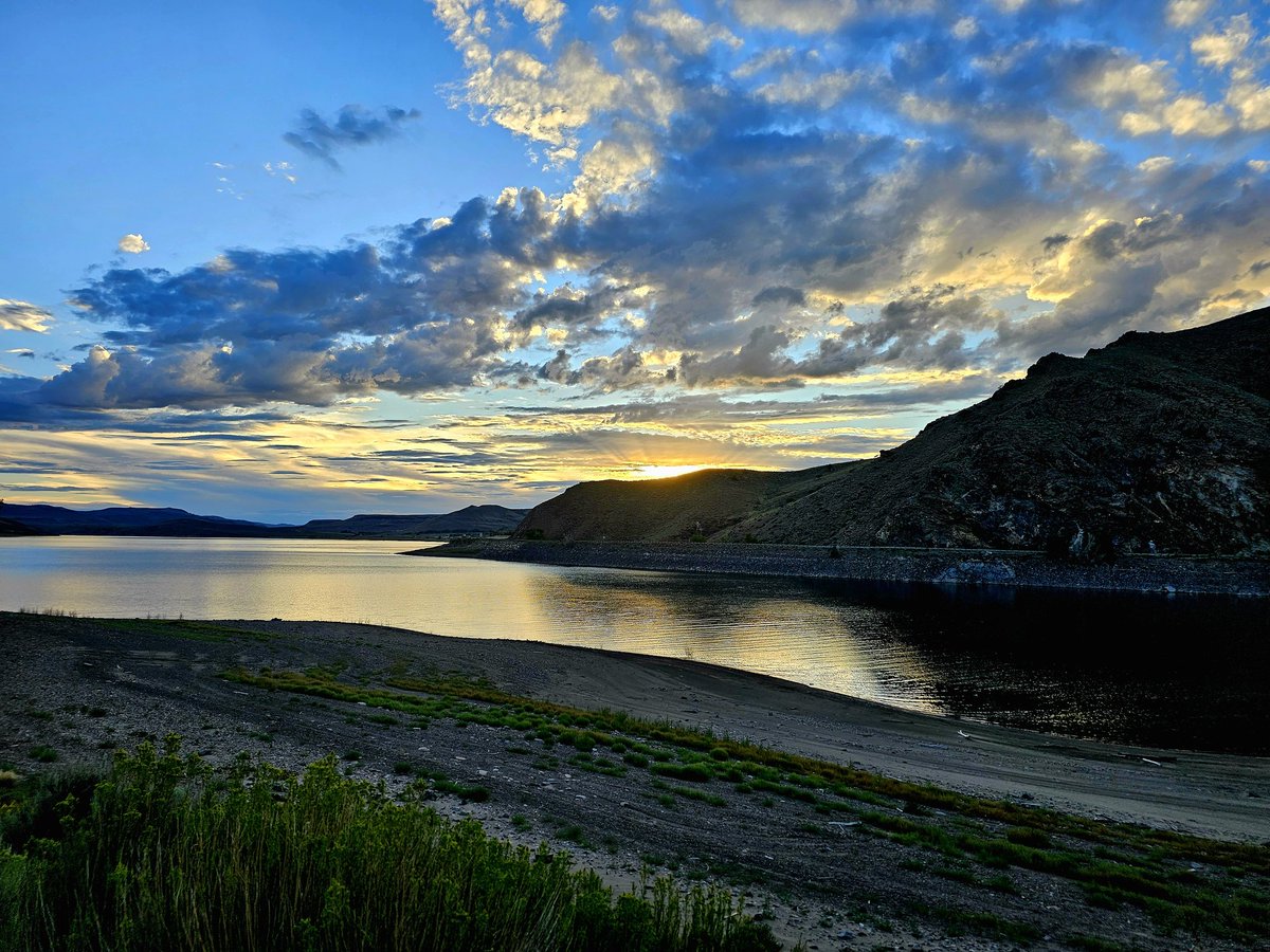 DynoPearl.eth tweet media