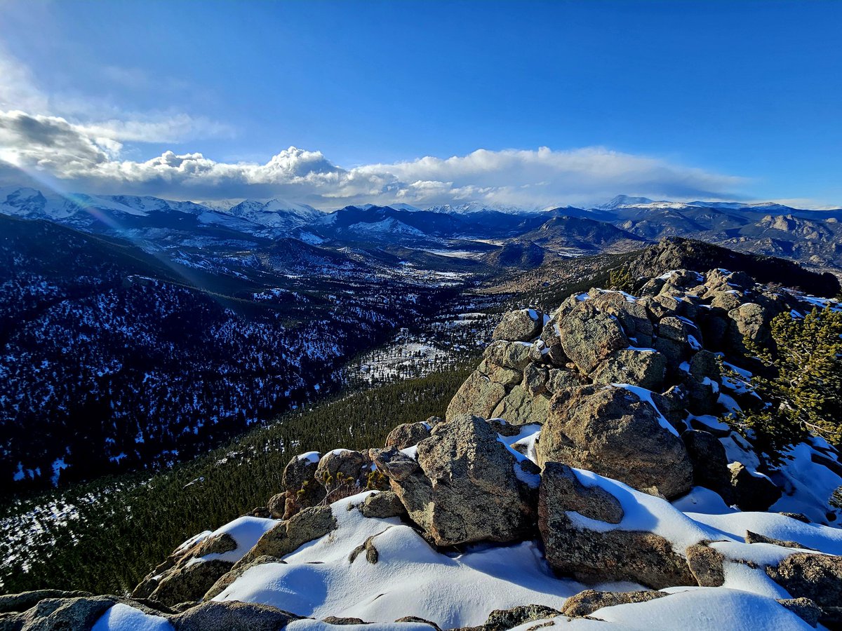 DynoPearl.eth tweet media