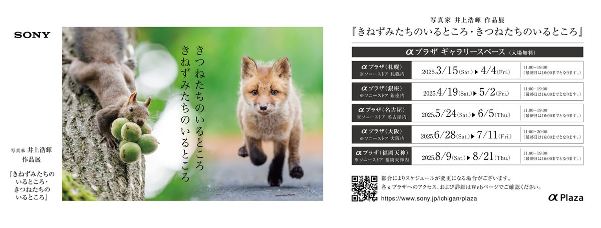 写真展「きねずみたちのいるところ・きつねたちのいるところ」は、明日