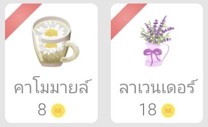สิ้นสุดกิจกรรม #แจกโดเนท แล้วว แต่ว่ามัจฉะ🍵+ทานตะวัน🌻 ได้หายไป ขอเปลี่ยนเป็นคาโมมายล์+ลาเวนเดอร์แทนนะคะ 🙏

ผู้โชคดี ได้แก่
ลาเวนเดอร์ ×2 🪻✨
   <a href="/whoamiresol/">whoami ft. บบกับภารกิจทั้งสาม</a>
   <a href="/fangkhaw_J/">ฟางข้าวJ💫✨💖</a>
คาโมมายล์ ×4 🕊
   <a href="/twt_syn/">Syn Selebrity</a>
   <a href="/Rinmichiyo21/">จงเขียนจบ</a>
   <a href="/9gemsart/">Ngemz</a> 
   <a href="/MiracleFriday11/">Miracle Friday/มิราคนธ์</a>

(มีต่อ)