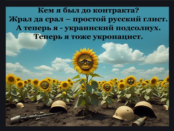 HylerYunk's tweet image. Десь промайнуло, що російські солдати теж жертви. Навіть не стану обговорювати. Але що бачу я: від безвусого хлопчини до сивого дідугана звичайні росіяни кидають своє нікчемне життя та їдуть отримати щось для себе за рахунок чужого життя. Отака вона,душа росіян: хіба не паразити?