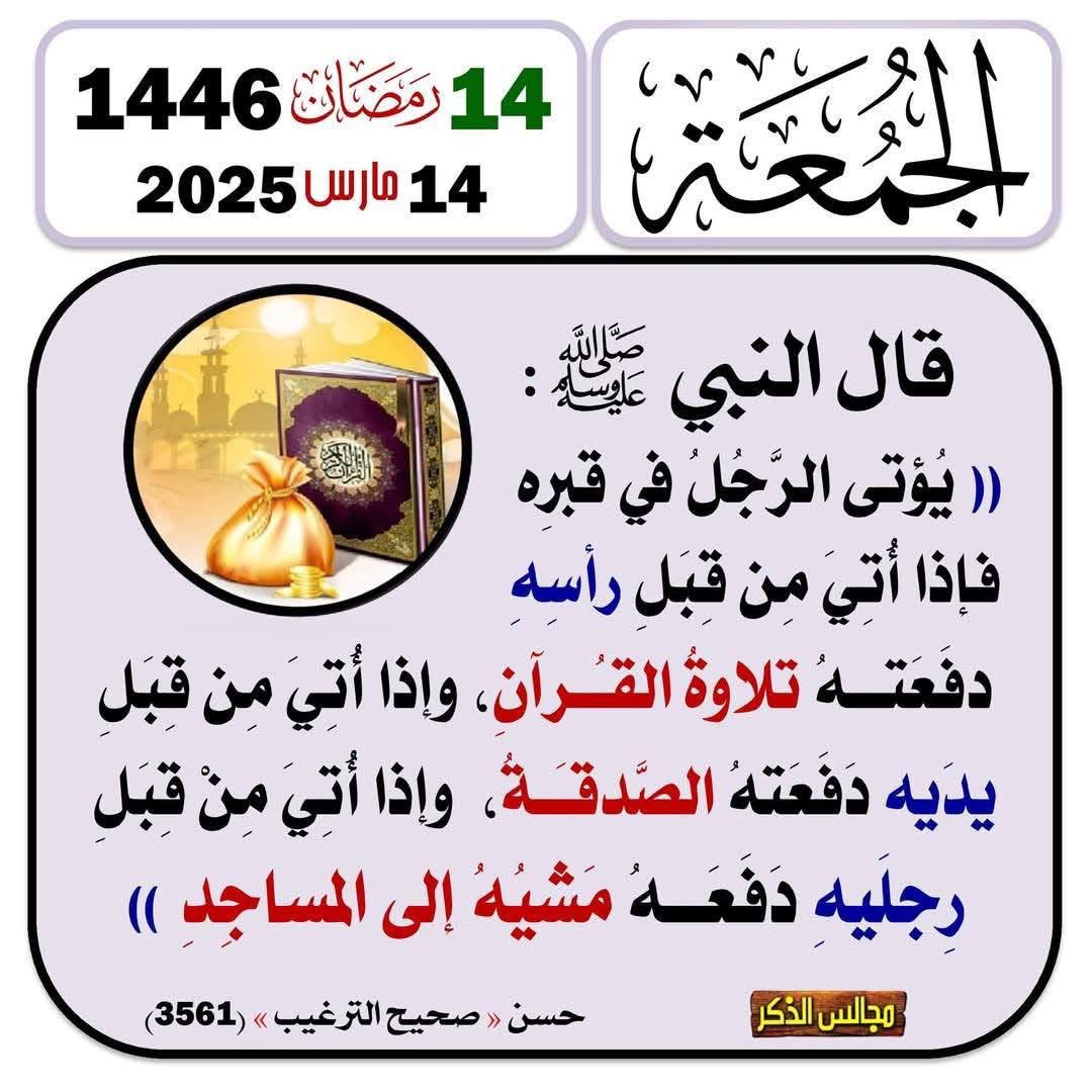 ابو محمد tweet media