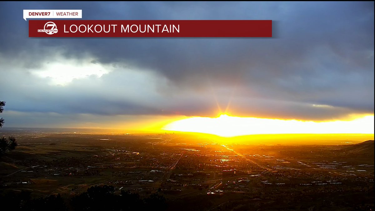 lisa hidalgo tweet media