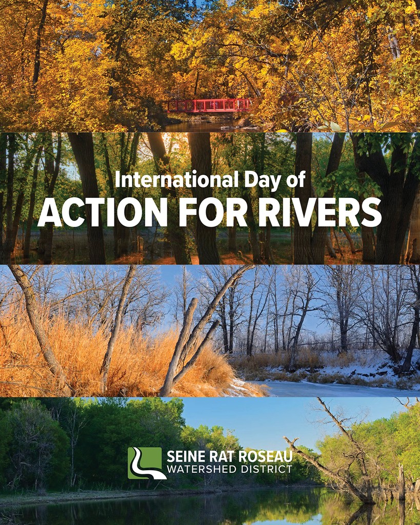 Although freshwater ecosystems are so important, they are the most threatened in the world.💧 Organizations like saveourseine.com are fighting for the protection and enhancement of rivers.