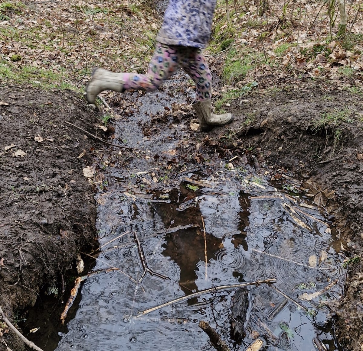 WoodlandsELCx's tweet photo. A world of wonder and exploration today as the children have been exploring new parts of the woods looking for signs of life and habitats and questioning their surroundings.. ๐๐ญ #engagingwithnature #outdoorplay https://t.co/GJYOBhaifO