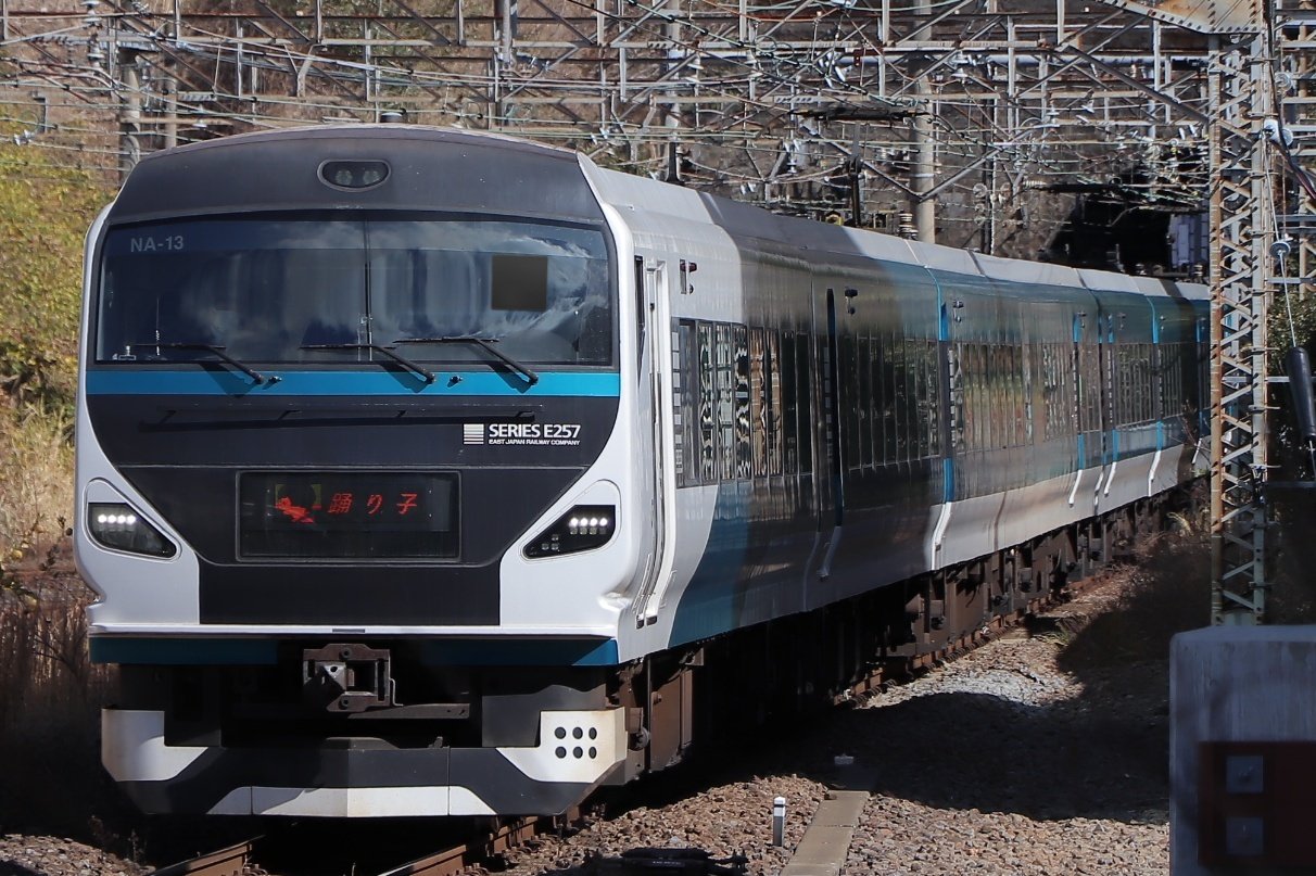 E261系サフィール踊り子とE257系2000番台踊り子に乗ってきました