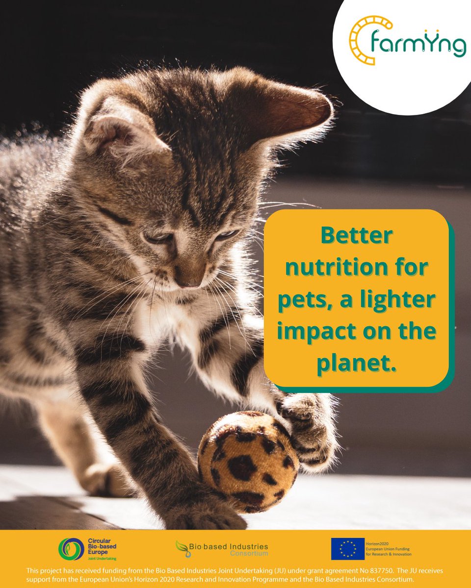 With 352M pets in Europe, sustainable nutrition is crucial. Farmÿng's mealworm protein offers a resource-efficient, healthy alternative for pet food, cutting environmental impact while providing high-quality nutrition. Is insect protein the future of pet nutrition? #InsectProtein