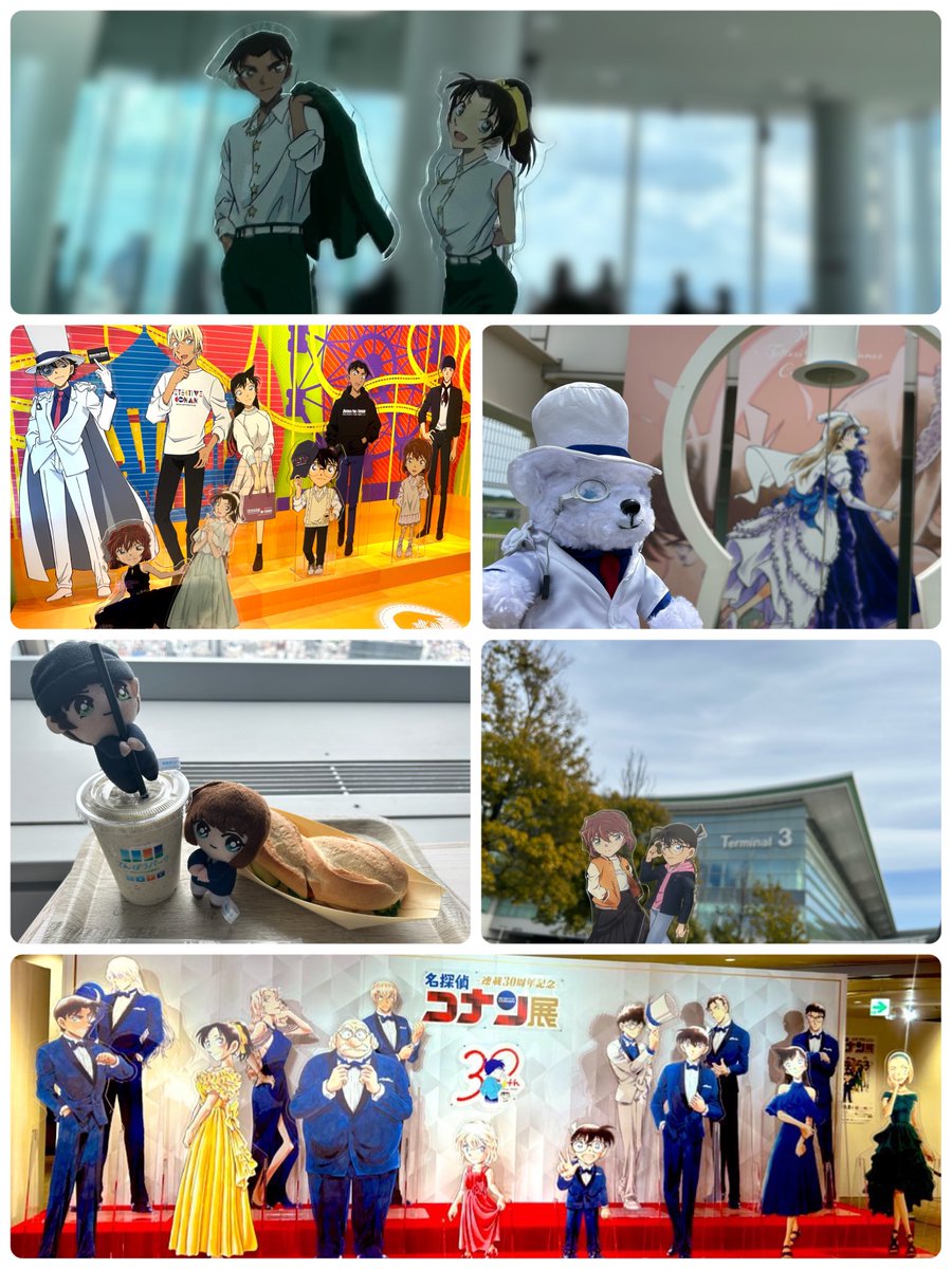 ふぁるせっと🐢 tweet media