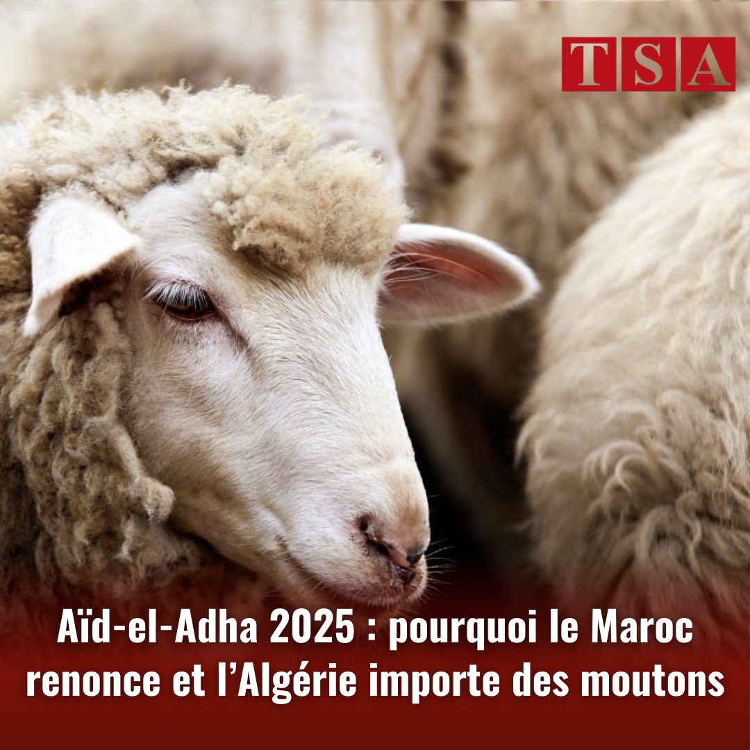 Georges L. Mouton Artwork for Sale at Online Auction | Georges L. Mouton  Biography \u0026 Info, image size:1080x1080