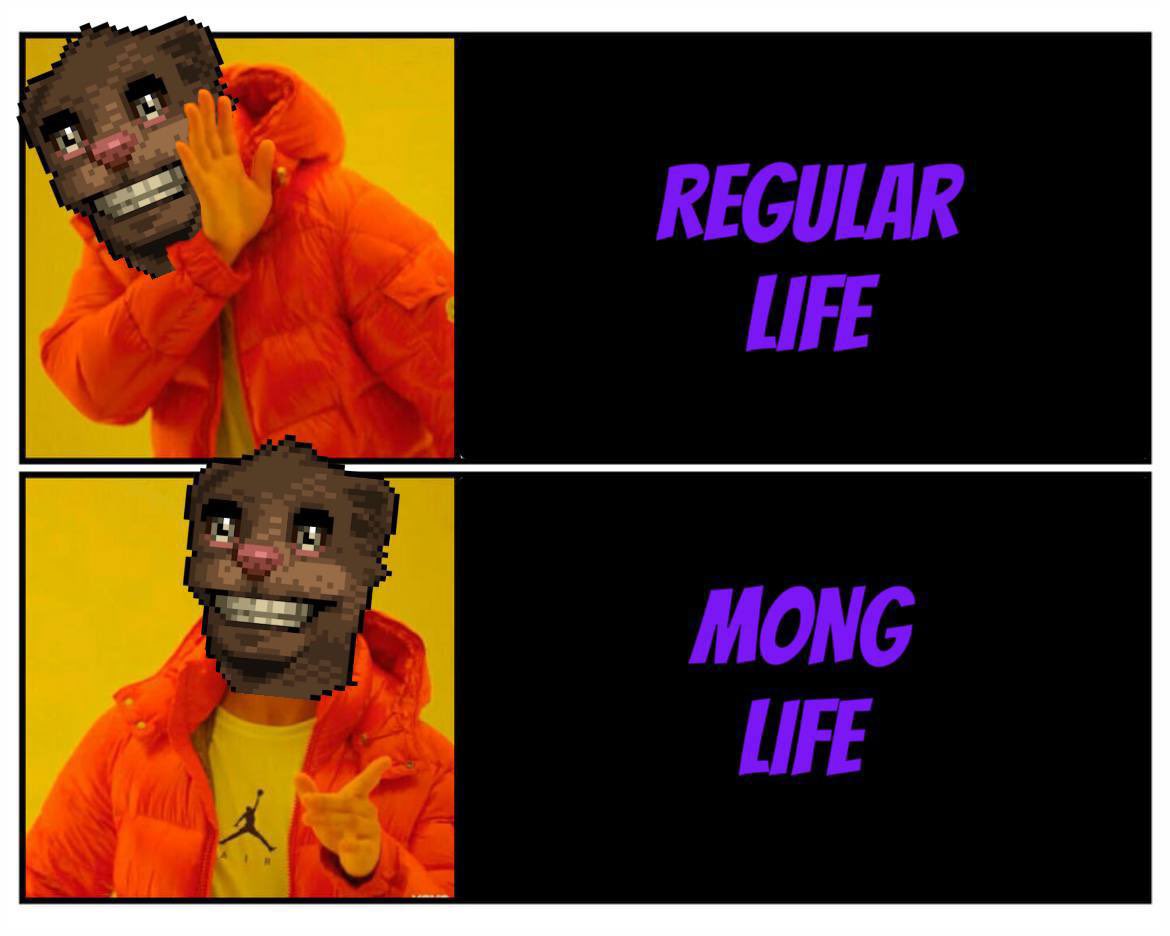 MONG COIN tweet media