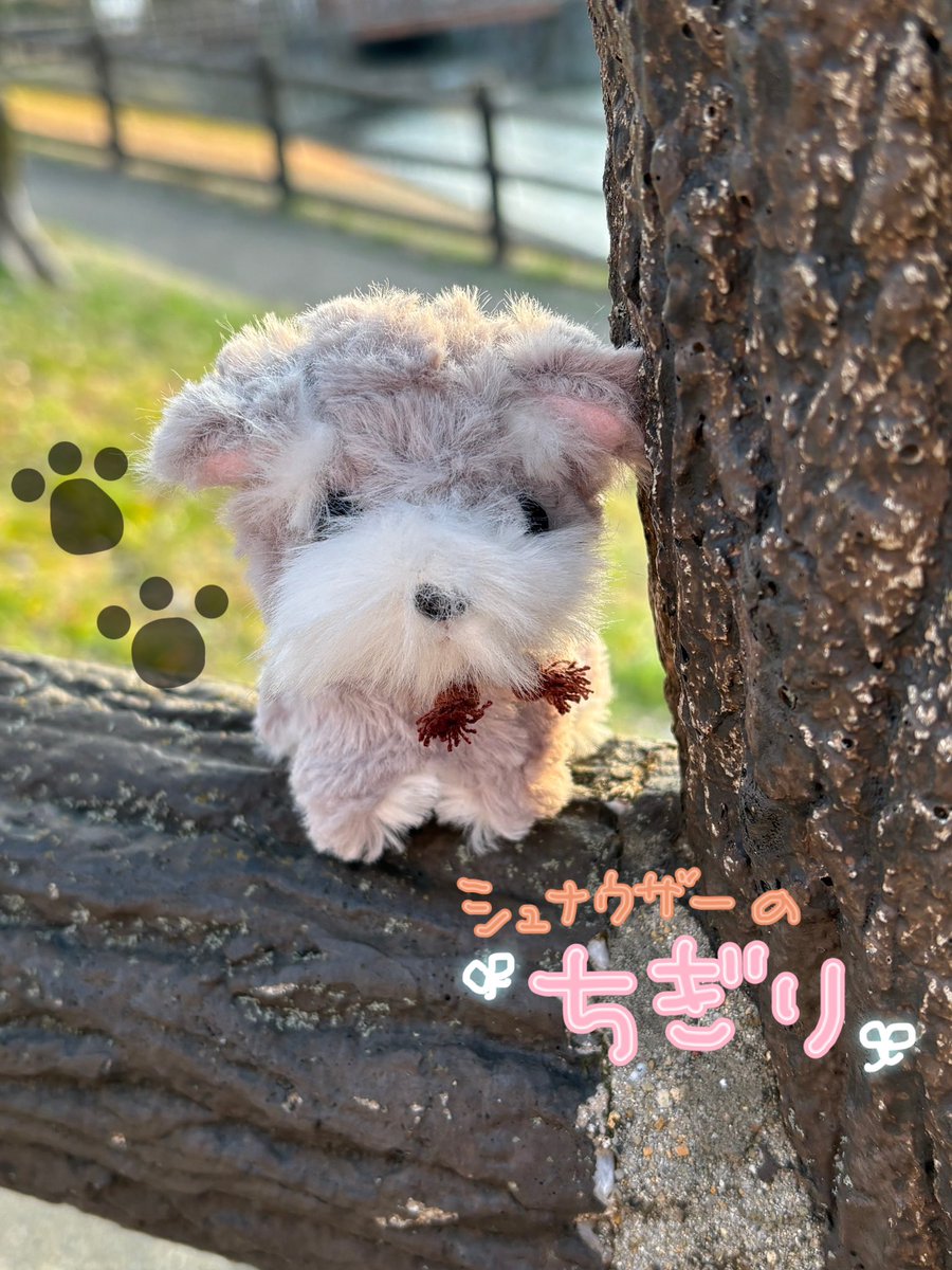 calmbogey's tweet photo. 🫧おとももち紹介🏖
ྀི🦦カンちゃん(made in cambodiaだったので)♂
ྀི🫧もたりん(マナティ)♀
ྀི🐶ちぎり(主がお仕事頑張ると契り交わしたので)♂
ྀི🤍🦭いわゆる︎︎(白)♂
ྀི🩶🦭おおらか︎︎(グレー)♀
 #ぬい活 #ぬいぐるみ #ぬい撮り 
 #ぬいぐるみ好きさんと繋がりたい https://t.co/1p0UemJ8tQ
