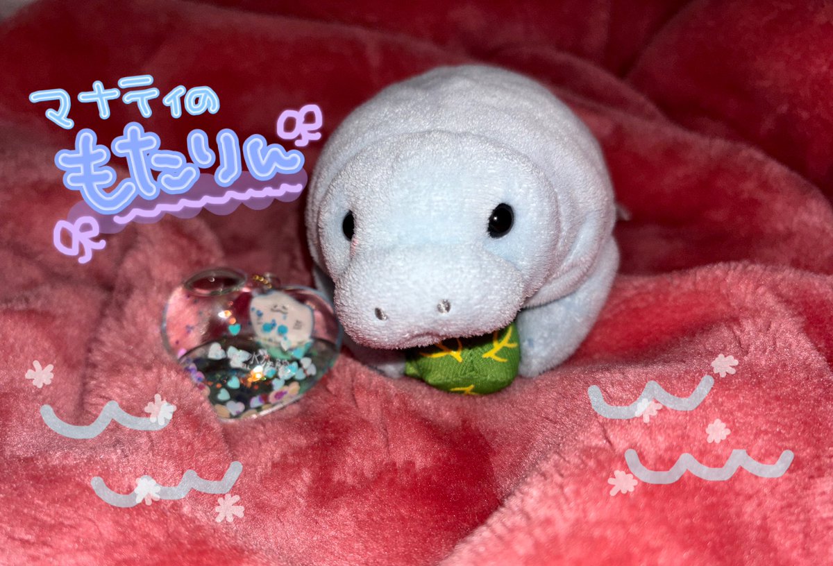 calmbogey's tweet photo. 🫧おとももち紹介🏖
ྀི🦦カンちゃん(made in cambodiaだったので)♂
ྀི🫧もたりん(マナティ)♀
ྀི🐶ちぎり(主がお仕事頑張ると契り交わしたので)♂
ྀི🤍🦭いわゆる︎︎(白)♂
ྀི🩶🦭おおらか︎︎(グレー)♀
 #ぬい活 #ぬいぐるみ #ぬい撮り 
 #ぬいぐるみ好きさんと繋がりたい https://t.co/1p0UemJ8tQ