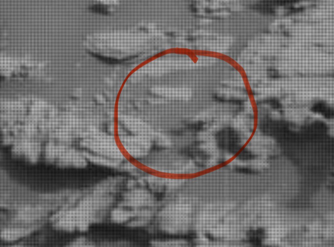 🧃 the tic-tac on Mars is missing in another picture taken at a different time of the same area 

🚫 rock has been ruled out.