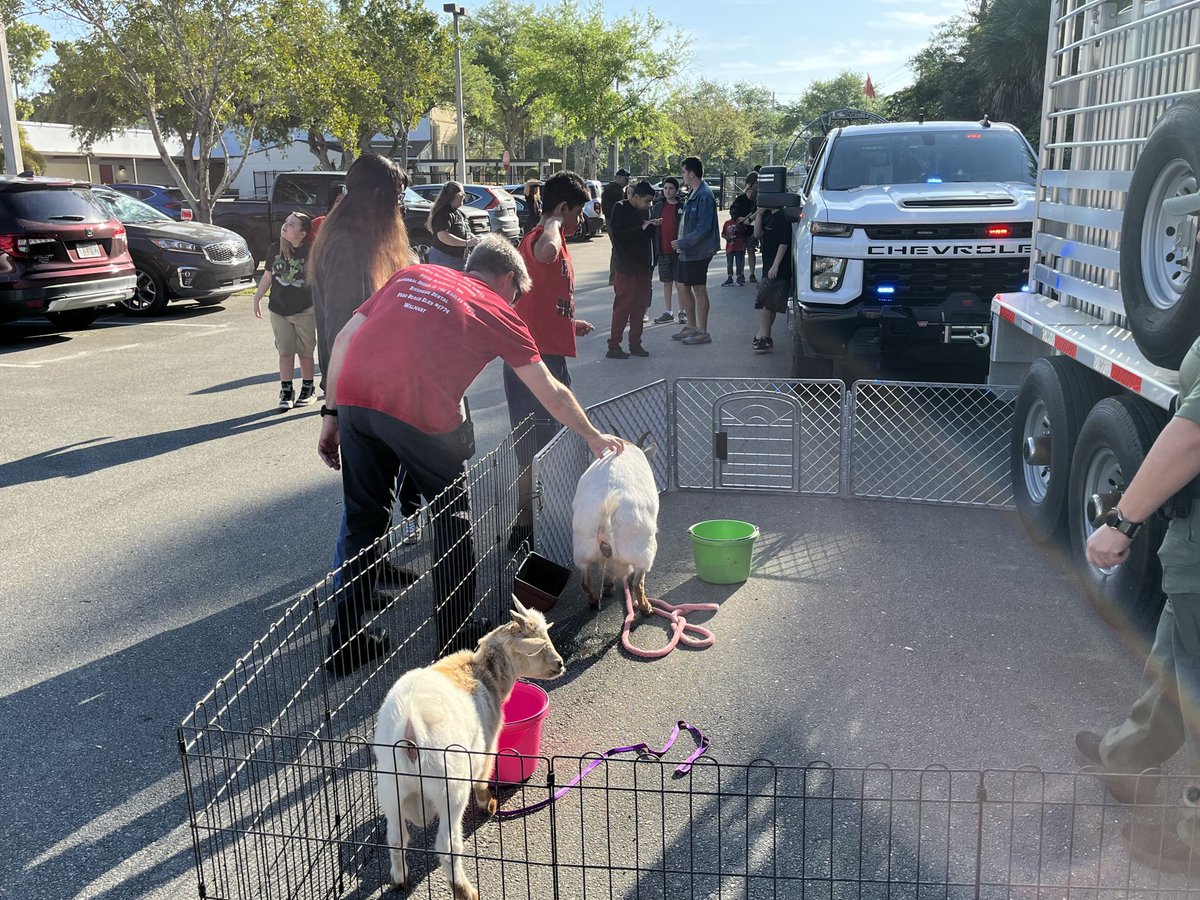 Wabasso School tweet media