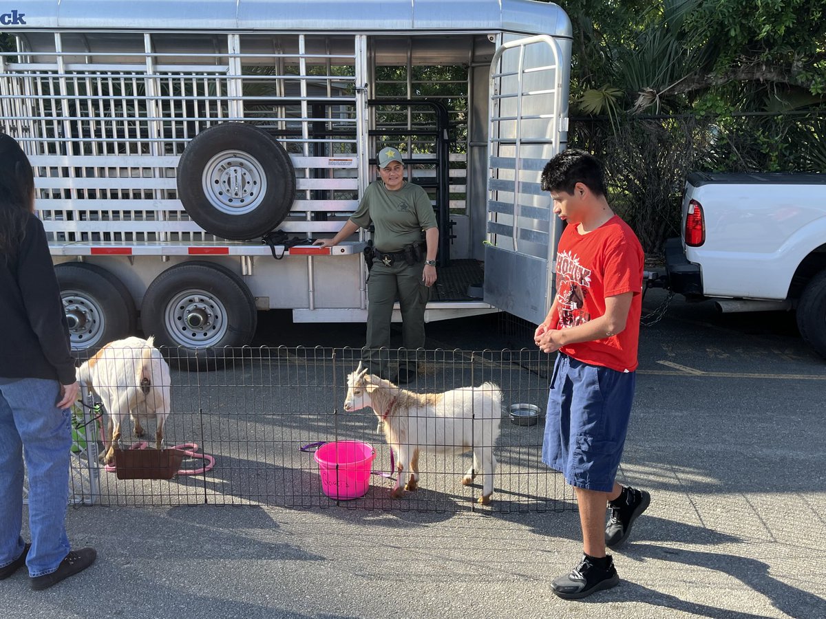 Wabasso School tweet media