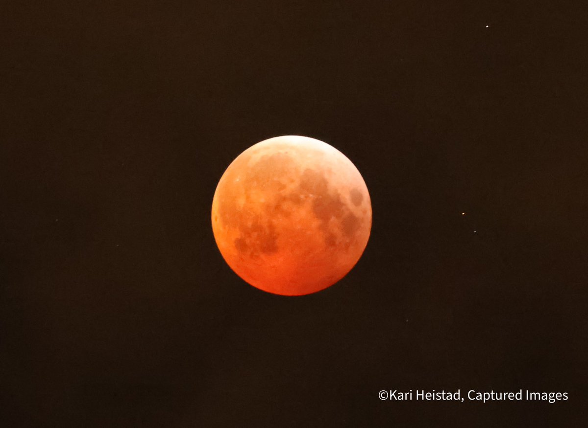 Kari Heistad tweet media