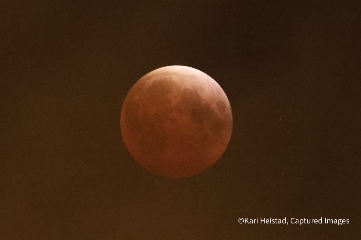 Kari Heistad tweet media