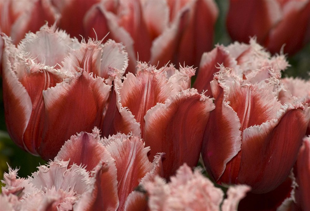 <a href="/Mari__Samsonova/">Мария Самсонова 💕</a> <a href="/_Nata_Sokol/">Наталья Соколова </a> <a href="/_Mila_Romanova/">Мила Романова 🔙</a> <a href="/_VitaKnyazeva/">Виталия Князева</a> <a href="/Lara_Smurova/">Лариса Смурова 🚀</a> <a href="/Alisiya_Pankova/">Алисия Панкова 💥«</a> <a href="/Dana__Levina/">💞 Дана Левина 💞</a> <a href="/_NikaSmirnova/">Ника Смирнова 🦋</a> <a href="/_PolinaSavina/">Полина Савина 🧢</a> <a href="/_TatyanaGolub/">Татьяна Голубева 🔥«</a> <a href="/Evelina__Lapina/">Эвелина Лапина</a> <a href="/Mishel_Lebedeva/">Мишель Лебедева</a> <a href="/BogSuvorova/">Богдана Суворова</a> <a href="/Karina__Zimina/">Карина Зимина 🦋</a> <a href="/Dominik_Svetova/">Доминика Светова</a> <a href="/Yuliya_Verina/">Юлия Верина 🍁</a> <a href="/_Anna_Gordeeva/">Анна Гордеева</a> <a href="/Frolova__Nastya/">Анастасия Фролова ✨</a> <a href="/Val_Valereva/">Валентина Валерьева</a> <a href="/Evgen_Safina/">Евгения Сафина</a> <a href="/Liza_Vesnina/">Лизавета Веснина</a> <a href="/Sveta_Makeina/">Светлана Макеина</a> <a href="/Kseniya_Aksen/">Ксения Аксенова</a> <a href="/_OksanaFirsova/">Оксана Фирсова</a> <a href="/Roza_Rakitina/">Роза Ракитина</a> <a href="/IrishaKoroleva/">Ирина Королева</a> <a href="/_VladaBelova/">Влада Белова</a> <a href="/ya__chara/">Яна</a> <a href="/alberiniks/">Нина Альбертова</a> <a href="/lady__travel/">Нинэлька</a> <a href="/Ansupers/">Анастасия</a> <a href="/Alisa550055/">Алиса</a> <a href="/glamour__fifa/">Нэнси</a> <a href="/santairis_/">Ириска</a> <a href="/polovinkamoya/">Валентина</a> <a href="/niguzan/">Нина</a> <a href="/moyi_angel/">Ангелина</a> <a href="/ledi__briz/">Алина Голубкова</a> <a href="/Irina__Grad/">Ирина Градова</a> <a href="/shelkalina/">Galina Shelest</a> <a href="/leopoldolarag/">Leopoldo Lara</a> <a href="/P_barbaricina/">Patricia ♦️®🇮🇹</a> <a href="/VictoriAGVelan1/">Victoria Guerrero Velandia</a> <a href="/alpost19718/">Istina</a> <a href="/Anatolii70/">.Анатолий70</a> <a href="/Igor55549244/">Igor</a> <a href="/Vladimi94915948/">Vladimir</a> <a href="/math_007tutor/">Цифровой репетитор по математике физике английский</a> <a href="/olv42/">Анна Ильиных</a> <a href="/iO0WDvcSpnyOba5/">Люба</a>