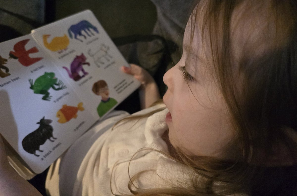 N is loving this weeks book, she says she has read the book before and that it is one of her favourites @CarleClass