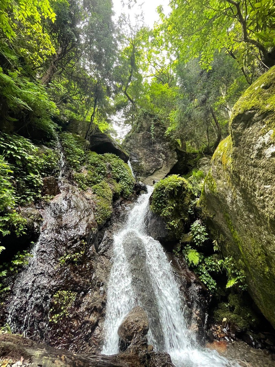 oit_wv's tweet image. 大工大ワンダーフォーゲル部に入ると世界が変わります！！大阪工業大学の人はぜひ！
#春から大工大　#大阪工業大学