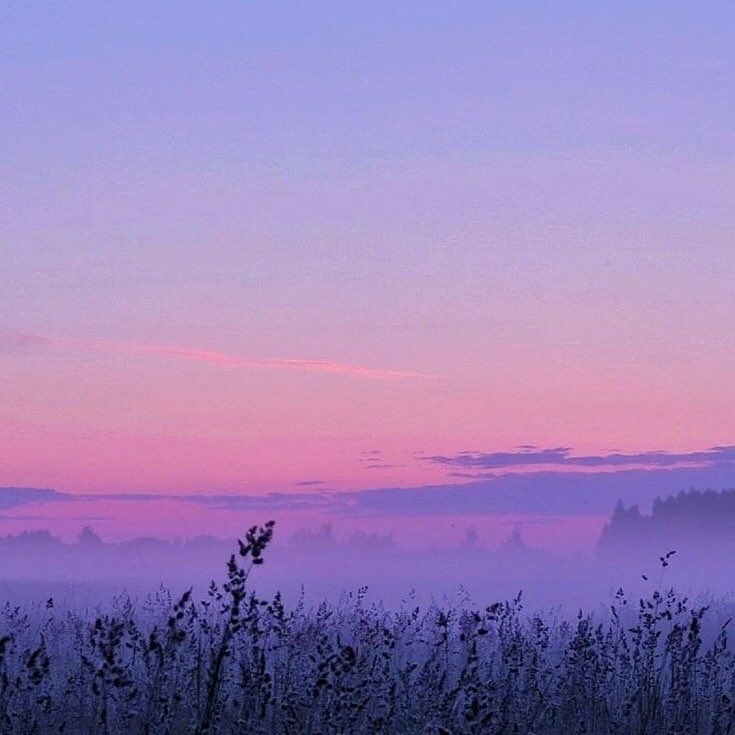 violettweets_'s tweet photo. lavender sky. https://t.co/8vBoqCfZD9