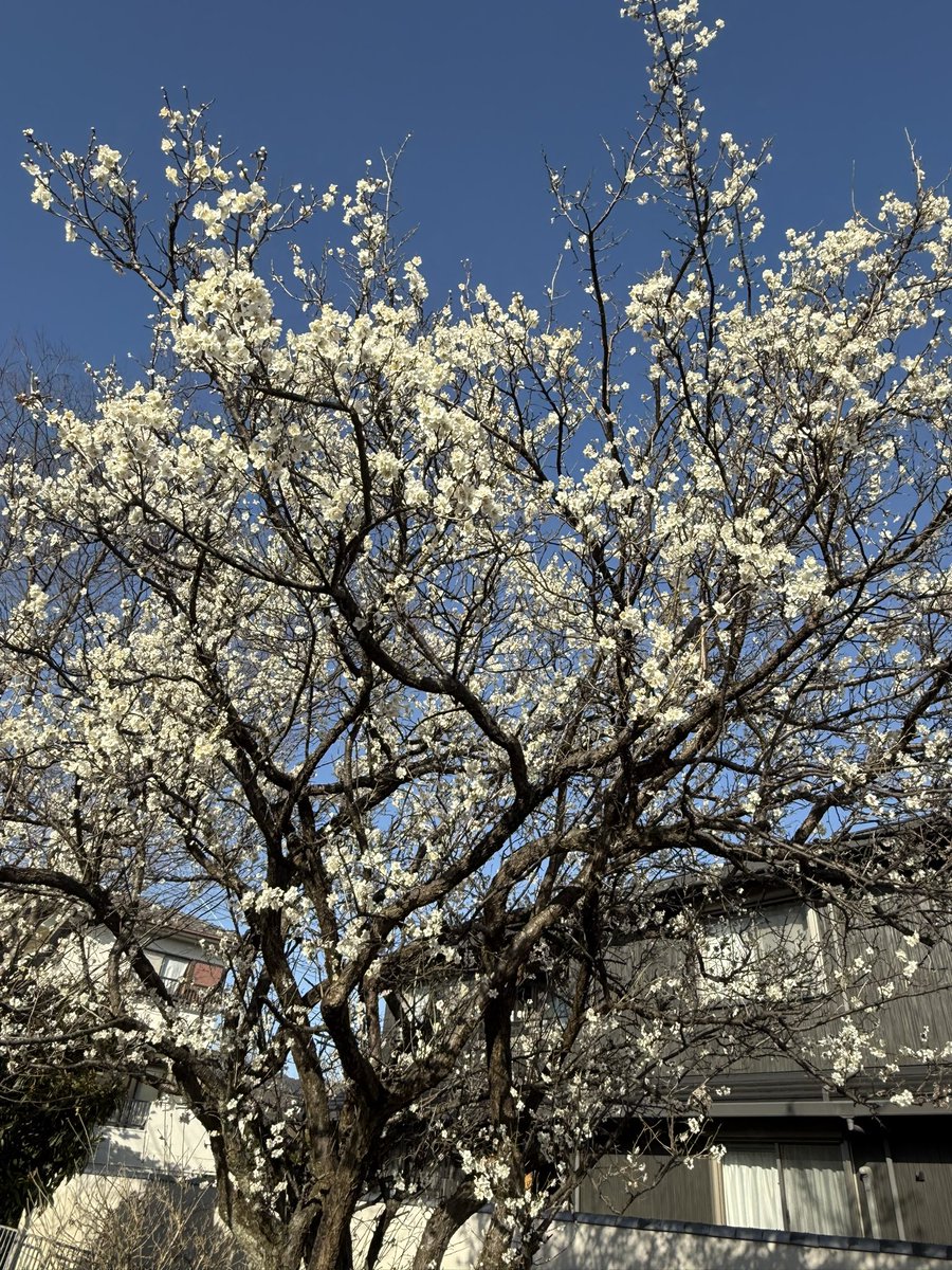 baimaken0218's tweet photo. 开了 https://t.co/u7sRfVjqSh