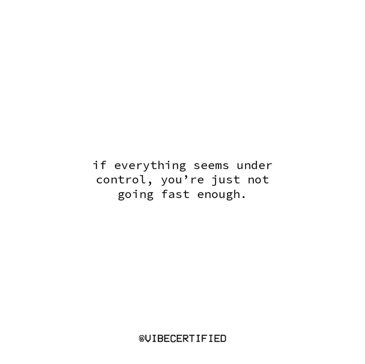 VIBE CERTIFIED tweet media