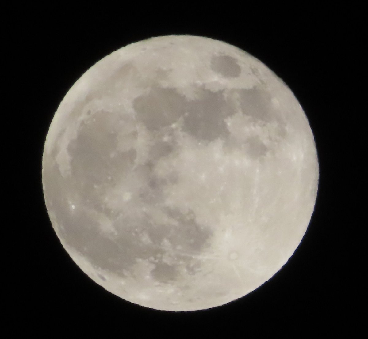 pancotoday's tweet photo. 満月を昨日と誤り見上げしが
今日の満月まこと明るし
Mistaking the full moon for yesterday, I gazed up,
But tonight’s true full moon shines ever so bright.
#今日の駄歌 #短歌 #月 #満月
#todayspoem #moon #fullmooon https://t.co/dkTTlPvz9M