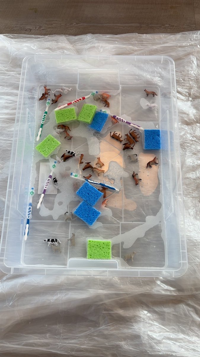 tori_goggin's tweet image. Haven’t been on here much and I miss it!

Working hard at my library info science master’s and running story time programs at the library! Happy Farm Friday everyone🐮🐷🐔

#WritingComnunity