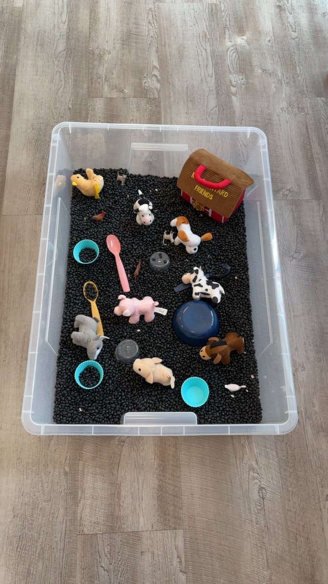 tori_goggin's tweet image. Haven’t been on here much and I miss it!

Working hard at my library info science master’s and running story time programs at the library! Happy Farm Friday everyone🐮🐷🐔

#WritingComnunity