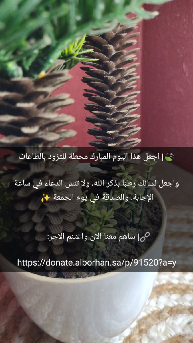 Nahoola00a_SA's tweet photo. سورة الفاتحة ..السبع المثاني و فاتحة الكتاب ..احفظوها بتدبر و اسألوا الرحمن بها ..فهي فاتحة الخير ..♥️ https://t.co/U0w997mmdE