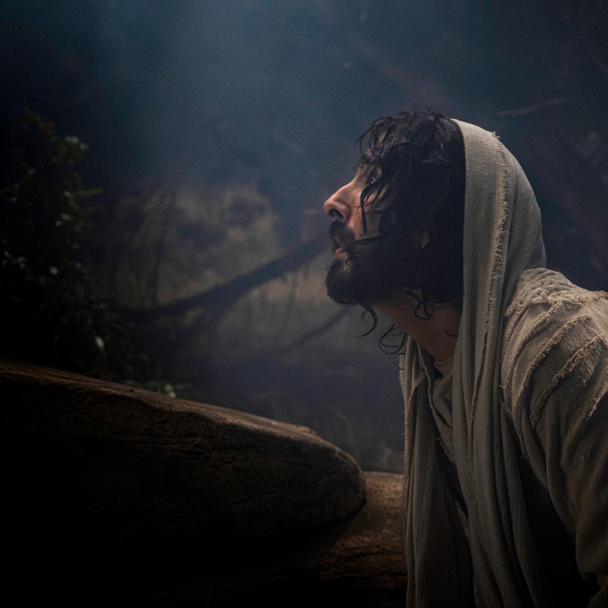 The Church of Jesus Christ of Latter-day Saints tweet media