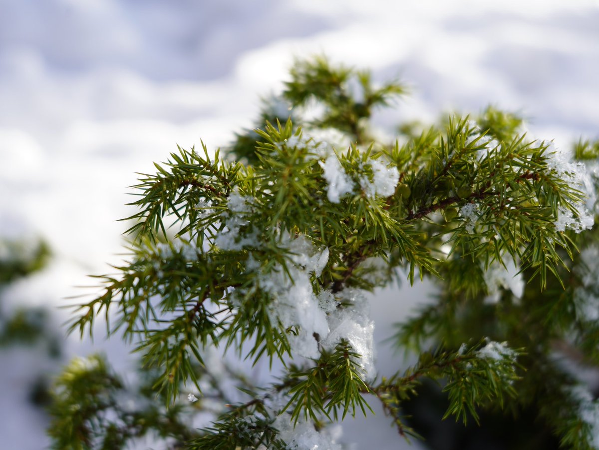 Wandrovik's tweet image. Прогулялся по озеру🥹