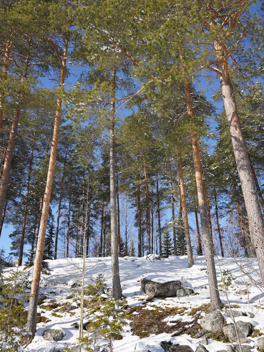 Wandrovik's tweet image. Прогулялся по озеру🥹