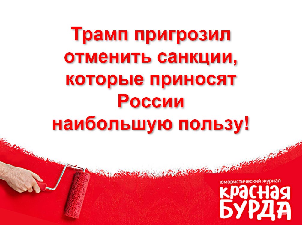 redburda's tweet image. 