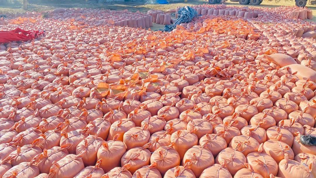 GezeOdamo's tweet photo. @Ternafi #Asaab belongs to #Ethiopia!! 
Wheat revolution in Ethiopia!!
Keep crying our enemies!! https://t.co/0NzCph8AuU