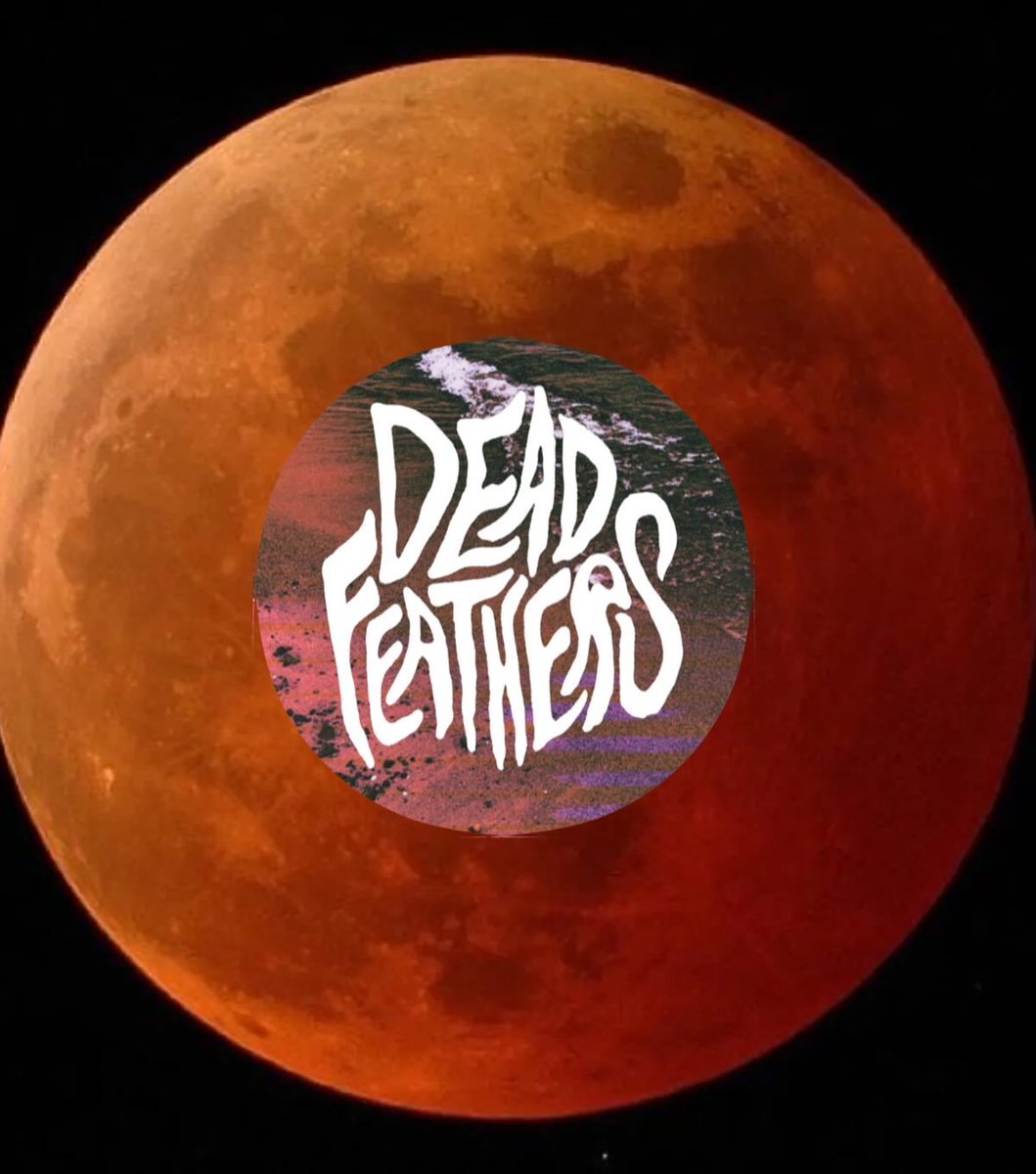 Dead Feathers tweet media