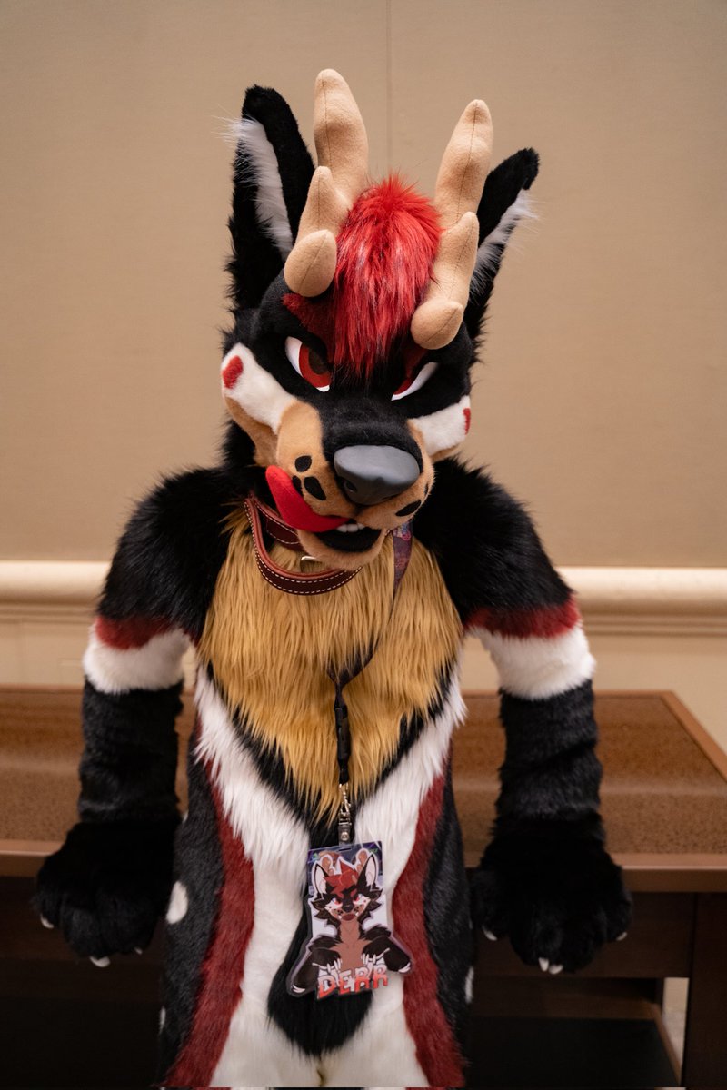 Derr (@derrthedeerfox) on Twitter photo I'm looking at you π
I've got a freshly made bed upstairs... let's mess it up together π
πΈ <a href="/Epsole_The_Folf/">ΓpsΓΈlΓ© πΊπΈπ³π΄</a>
πͺ‘ <a href="/MadeFurYou/">Made Fur You</a>
#οΈβ£ #FursuitFriday I'm looking at you π
I've got a freshly made bed upstairs... let's mess it up together π
πΈ <a href="/Epsole_The_Folf/">ΓpsΓΈlΓ© πΊπΈπ³π΄</a>
πͺ‘ <a href="/MadeFurYou/">Made Fur You</a>
#οΈβ£ #FursuitFriday